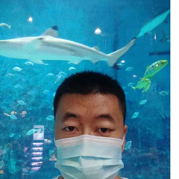 河北34岁单身帅哥真诚找对象-玉林征婚相亲网
